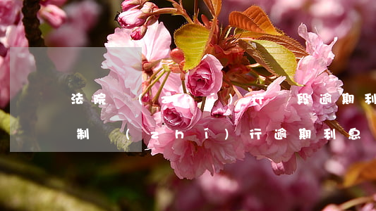 法院執(zhí)行階段逾期利息-法院強制執(zhí)行逾期利息