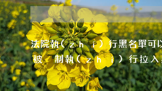 法院執(zhí)行黑名單可以辦銀行卡嗎(被強制執(zhí)行拉入黑名單會凍結(jié)所有銀行卡嗎)