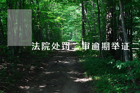 法院处罚 二审逾期举证(二审逾期提交的证据)