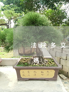 法院多交錢可以輕判嗎(法院多交錢可以輕判嗎)