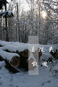 法院失信人可以作飛機(jī)嗎(失信人不能做飛機(jī)嗎)