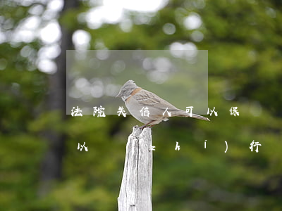 法院失信人可以保單貸款嗎(失信人的保單可以執(zhí)行嗎?)
