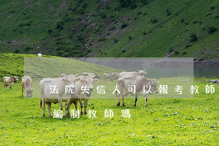 法院失信人可以報考教師嗎(失信人員可以考編制教師嗎)