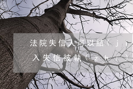法院失信人可以結(jié)婚嗎(被法院列入失信被執(zhí)行人可以結(jié)婚嗎)