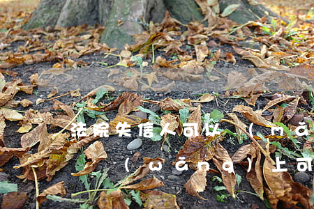 法院失信人可以買(mǎi)機(jī)票嗎(網(wǎng)上可以訂機(jī)票是不是失信被執(zhí)行人)