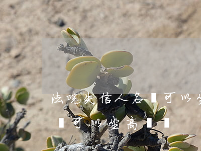 法院失信人名單可以坐高鐵嗎(法院失信人名單可以坐高鐵嗎)