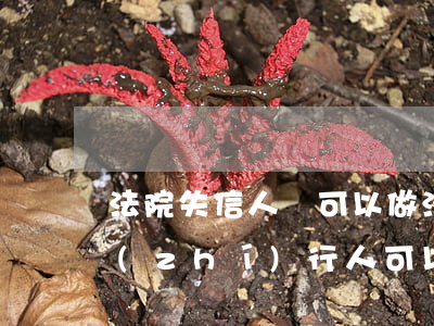 法院失信人員可以做法人嗎(法人是失信被執(zhí)行人可以變更法人嗎)