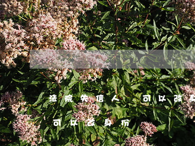 法院失信人員可以改身份證嗎(法院失信人員可以改身份證嗎)