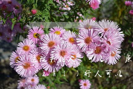 法院失信人員可以購買原始股票嗎(失信被執(zhí)行人可以買股票嗎)