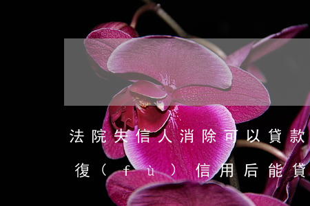 法院失信人消除可以貸款買房嗎(失信人員恢復(fù)信用后能貸款買房嗎)