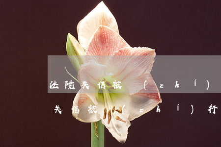 法院失信被執(zhí)行人可以乘高鐵嗎(失信被執(zhí)行人到底能不能坐高鐵)