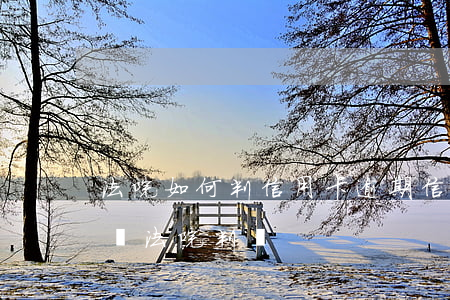 法院如何判信用卡逾期（信用卡逾期銀行愿意讓法院判嗎）