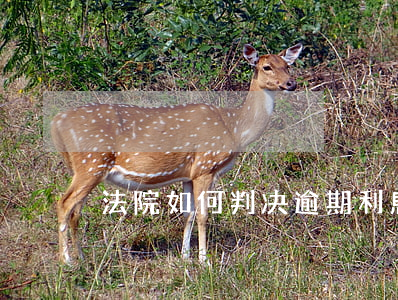 法院如何判决逾期利息(逾期利息法院怎么判)