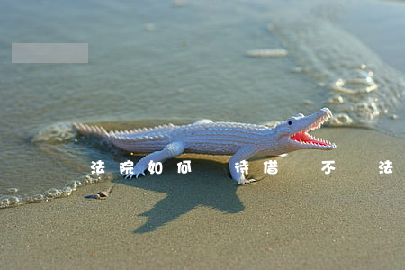 法院如何對待借錢不還(法院如何對待借錢不還)