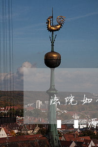 法院如何查借款人的資金來源（法院如何查借錢來源）