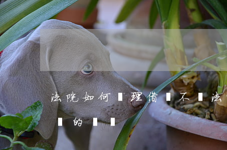 法院如何處理借錢不還(法院如何處理借錢不還的問題)