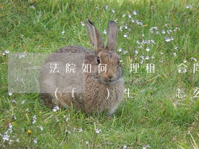 法院如何處理租賃合同糾紛(房屋租賃合同發(fā)生糾紛怎么解決)
