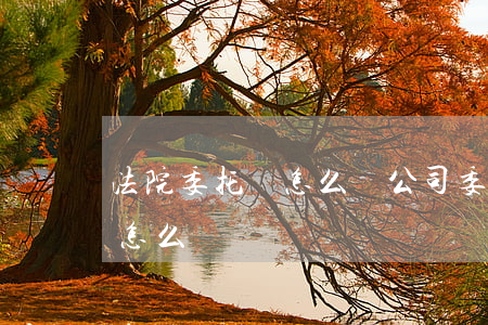 法院委托書怎么寫(公司委托個人法院委托書怎么寫)