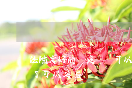 法院定好的開庭時間可以延后嗎(開庭日期定了可以延后嗎)