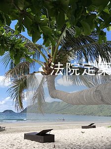 法院定案可以翻案吗(法院结案了还能翻案吗)