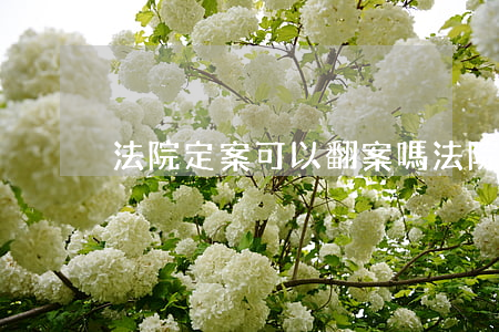 法院定案可以翻案嗎(法院結案了還能翻案嗎)