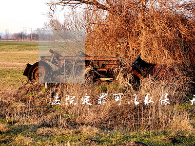 法院定罪可以取保嗎(刑事案件在法院能取保嗎)