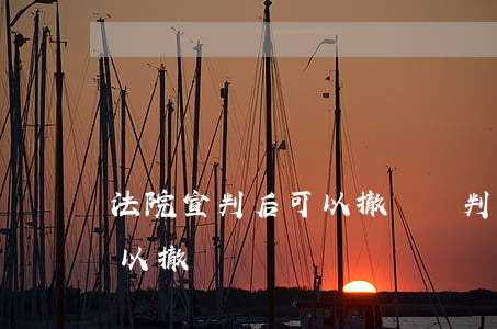 法院宣判后可以撤訴嗎(判決完的案件 原告可以撤訴嗎)