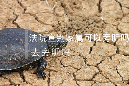 法院宣判家属可以旁听吗(法院判刑家属可以去旁听吗)