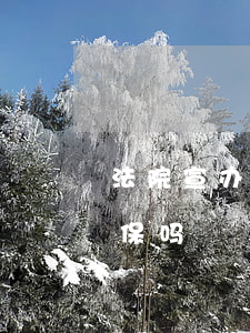 法院宣办后还可以取保吗(开庭判完还可以取保吗)
