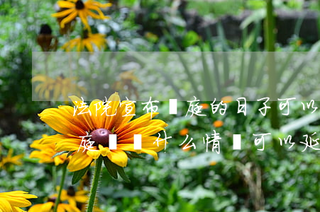 法院宣布開庭的日子可以延緩嗎(法院定了開庭時間什么情況可以延遲)
