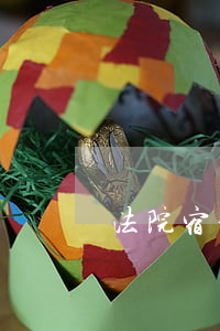 法院宿舍可以住吗(法院有食堂和宿舍吗)
