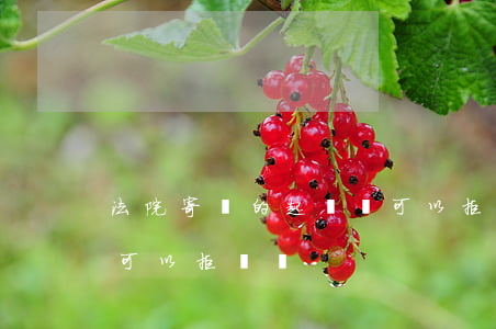法院寄來的起訴書可以拒收嗎(法院的起訴書可以拒簽嗎)