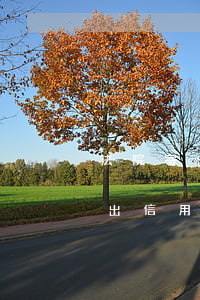 法院寄出信用卡起訴單多久會起訴-法院寄出信用卡起訴單多久會起訴對方