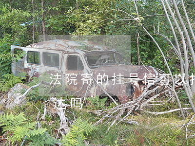 法院寄的挂号信可以拒签吗(挂号信拒收算送达吗)