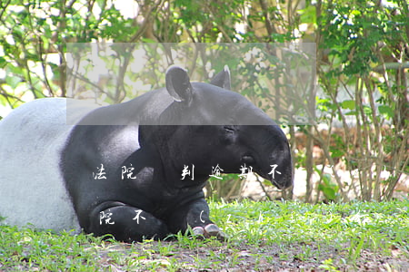 法院審判逾期不執(zhí)行(終審判決法院不執(zhí)行)
