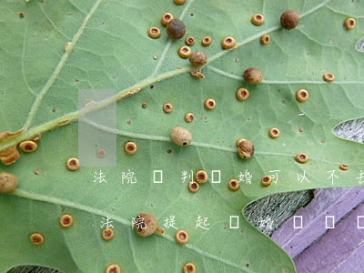 法院審判離婚可以不去應(yīng)訴嗎(法院提起離婚訴訟,對(duì)方不來(lái)能判離嗎)