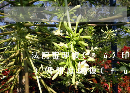 法院審理復(fù)印件可以作證據(jù)嗎(開庭時復(fù)印件能否作為證據(jù)使用)