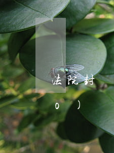 法院封賬號(hào)可以再辦賬號(hào)嗎(賬號(hào)被誤封可以通過(guò)法律途徑嗎)