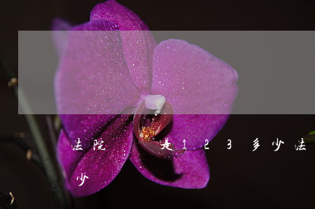 法院專線是123多少(法院專線是123多少)
