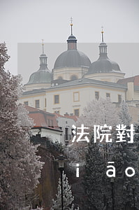 法院對(duì)信用卡逾期的立案標(biāo)準(zhǔn)(欠信用卡立案標(biāo)準(zhǔn))