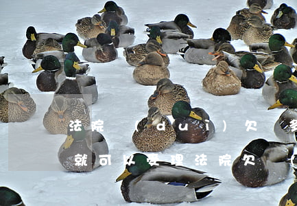 法院對(duì)欠賬多少錢(qián)就可以受理（法院欠錢(qián)多少可以起訴）