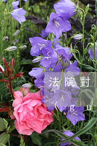 法院對(duì)行政訴訟的管轄有哪些規(guī)定
