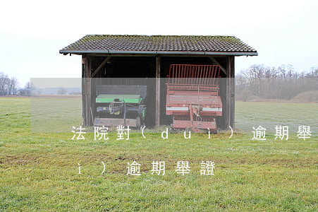 法院對(duì)逾期舉證-法院對(duì)逾期舉證