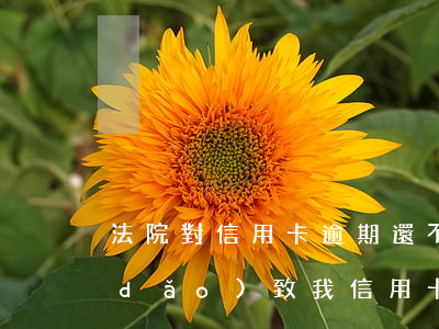 法院對信用卡逾期還不上(別人欠錢不還導(dǎo)致我信用卡逾期)