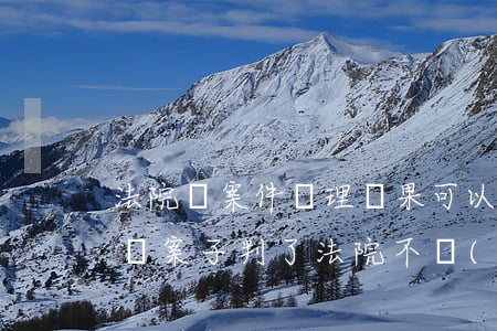 法院對案件處理結果可以不執(zhí)行嗎(案子判了法院不執(zhí)行怎么辦)