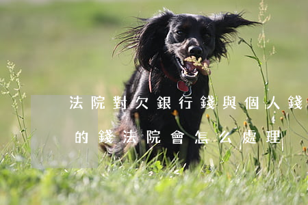 法院對欠銀行錢與個人錢怎樣處理-欠銀行的錢法院會怎么處理