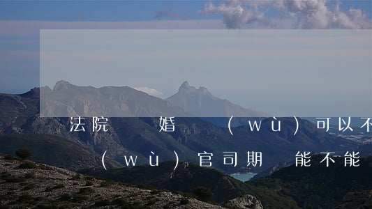 法院對離婚債務(wù)可以不處理嗎(有債務(wù)官司期間能不能離婚)