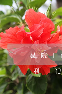法院工作人員可以放高利貸嗎(銀行人員放高利貸犯法嗎)