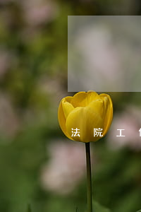 法院工作人員可以美甲嗎