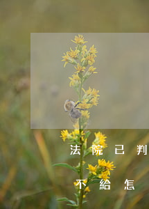 法院已判決可以慢慢還款嗎(法院判了還款,還不給怎么辦)